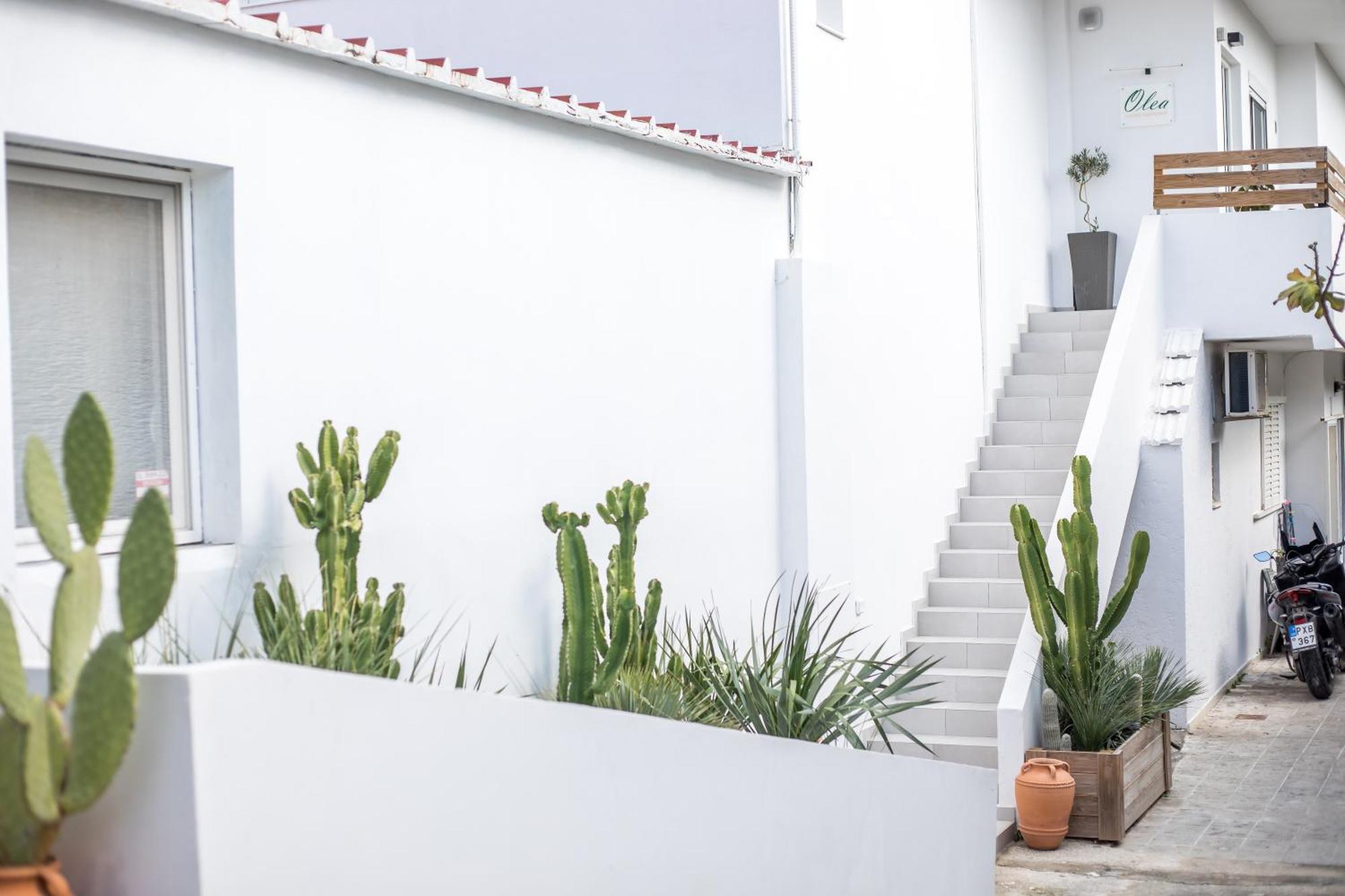 Olea Luxury Apartment アファンドウ エクステリア 写真