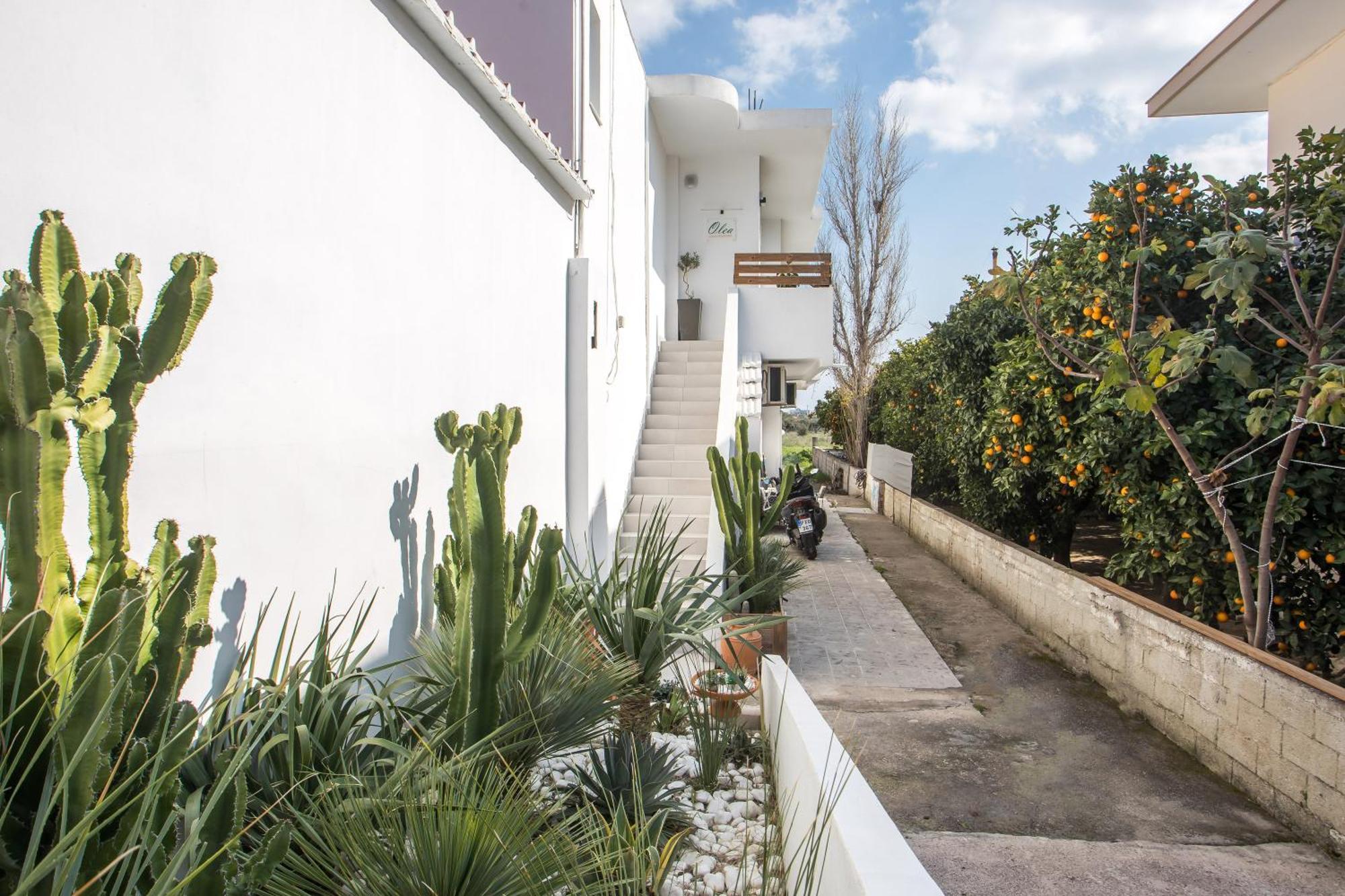 Olea Luxury Apartment アファンドウ エクステリア 写真